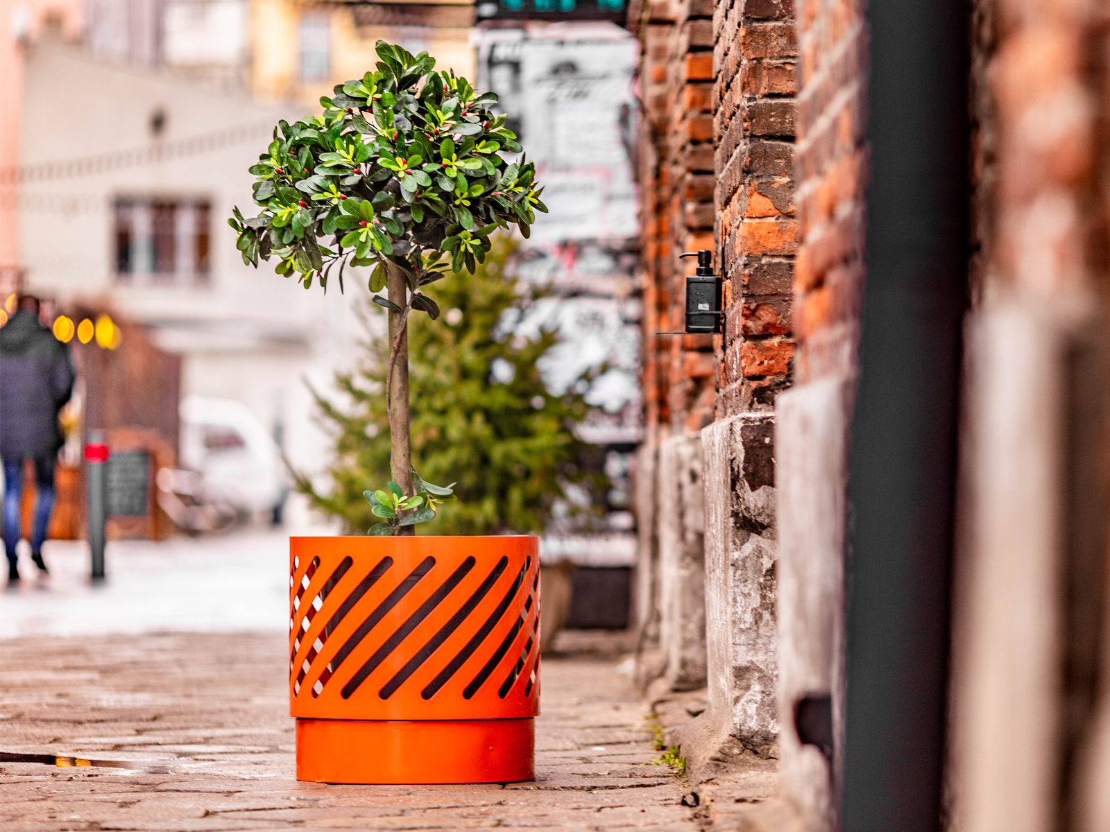 Easy-Capri-viragtarto