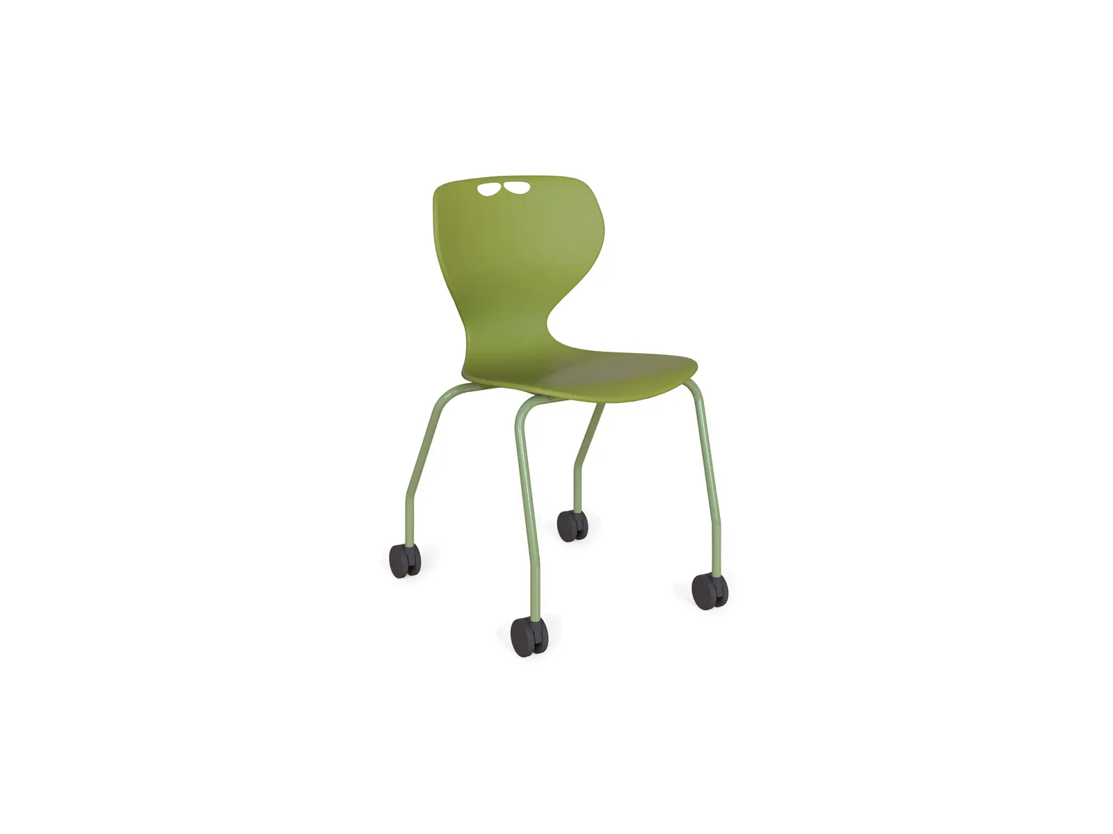 Flex_spider_gorgos_oliva.webp